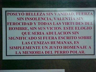 Pulsa para ver la imagen a tamaño completo