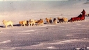 Nombre del archivo=PERROS03.jpg
Tamaño del archivo=53Kb
Dimensiones=352x200
Fecha añadida=13 de Octubre de 11 PERROS03.jpg