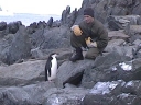 Nombre del archivo=PINGUINO013.jpg
Tamaño del archivo=28Kb
Dimensiones=320x240
Fecha añadida=13 de Octubre de 11 PINGUINO013.jpg