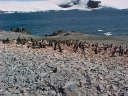 Nombre del archivo=PINGUINO019.jpg
Tamaño del archivo=58Kb
Dimensiones=640x480
Fecha añadida=13 de Octubre de 11 PINGUINO019.jpg