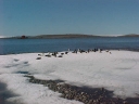 Nombre del archivo=PINGUINO024.jpg
Tamaño del archivo=22Kb
Dimensiones=640x480
Fecha añadida=13 de Octubre de 11 PINGUINO024.jpg