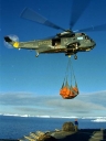 SEAKING001.jpg