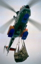 SEAKING003.jpg