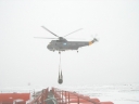 SEAKING005.jpg