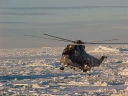 Nombre del archivo=SEAKING006.jpg
Tamaño del archivo=36Kb
Dimensiones=640x480
Fecha añadida=13 de Octubre de 11 SEAKING006.jpg