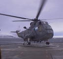 Nombre del archivo=SEAKING008.jpg
Tamaño del archivo=24Kb
Dimensiones=512x480
Fecha añadida=13 de Octubre de 11 SEAKING008.jpg