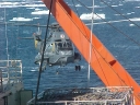 Nombre del archivo=SEAKING009.jpg
Tamaño del archivo=49Kb
Dimensiones=640x480
Fecha añadida=13 de Octubre de 11 SEAKING009.jpg