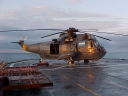 SEAKING010.jpg