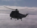 SEAKING027.jpg