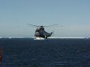Nombre del archivo=SEAKING049.jpg
Tamaño del archivo=42Kb
Dimensiones=640x480
Fecha añadida=13 de Octubre de 11 SEAKING049.jpg