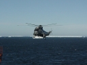 SEAKING049.jpg