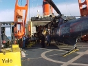 Nombre del archivo=SEAKING057.jpg
Tamaño del archivo=78Kb
Dimensiones=640x480
Fecha añadida=13 de Octubre de 11 SEAKING057.jpg