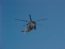 SEAKING087.jpg