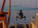 SEAKING135.jpg