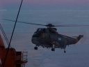 SEAKING141.jpg