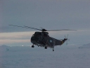 SEAKING146.jpg