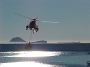 SEAKING182.jpg