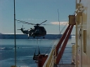 SEAKING183.jpg