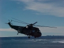 SEAKING186.jpg