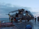 SEAKING193.jpg