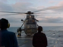 SEAKING199.jpg