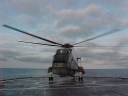 SEAKING205.jpg