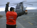 SEAKING207.jpg