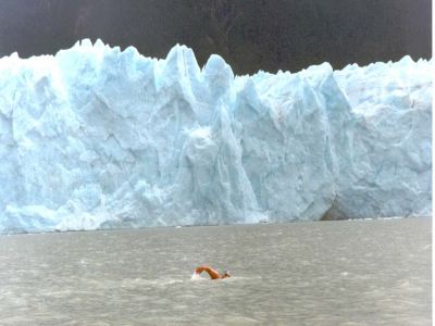 Pulsa para ver la imagen a tamaño completo