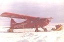 Filename=BEAVER01.jpg
Filesize=13KiB
Dimensions=379x250
Date added=Oct 13, 2011 BEAVER01.jpg