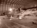 TWINOTTER107.jpg