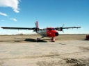 TWINOTTER153.jpg