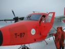 TWINOTTER37.jpg