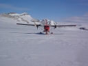 TWINOTTER65.jpg