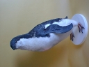 Nombre del archivo=PINGUINO211.jpg
Tamaño del archivo=38Kb
Dimensiones=640x480
Fecha añadida=13 de Octubre de 11 PINGUINO211.jpg