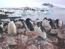 Nombre del archivo=PINGUINO221.jpg
Tamaño del archivo=52Kb
Dimensiones=640x480
Fecha añadida=13 de Octubre de 11 PINGUINO221.jpg
