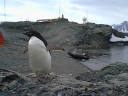 Nombre del archivo=PINGUINO229.jpg
Tamaño del archivo=48Kb
Dimensiones=640x480
Fecha añadida=13 de Octubre de 11 PINGUINO229.jpg