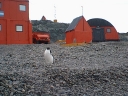 Nombre del archivo=PINGUINO231.jpg
Tamaño del archivo=96Kb
Dimensiones=640x480
Fecha añadida=13 de Octubre de 11 PINGUINO231.jpg