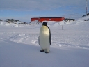 Nombre del archivo=PINGUINO238.jpg
Tamaño del archivo=78Kb
Dimensiones=640x480
Fecha añadida=13 de Octubre de 11 PINGUINO238.jpg