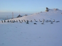 Nombre del archivo=PINGUINO263.jpg
Tamaño del archivo=23Kb
Dimensiones=640x480
Fecha añadida=13 de Octubre de 11 PINGUINO263.jpg