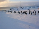 Nombre del archivo=PINGUINO264.jpg
Tamaño del archivo=39Kb
Dimensiones=640x480
Fecha añadida=13 de Octubre de 11 PINGUINO264.jpg