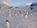 Nombre del archivo=PINGUINO267.jpg
Tamaño del archivo=40Kb
Dimensiones=640x480
Fecha añadida=13 de Octubre de 11 PINGUINO267.jpg