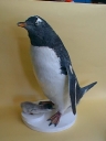 Nombre del archivo=PINGUINO274.jpg
Tamaño del archivo=107Kb
Dimensiones=480x640
Fecha añadida=13 de Octubre de 11 PINGUINO274.jpg