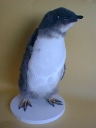 Nombre del archivo=PINGUINO277.jpg
Tamaño del archivo=143Kb
Dimensiones=480x640
Fecha añadida=13 de Octubre de 11 PINGUINO277.jpg