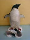 PINGUINO279.jpg