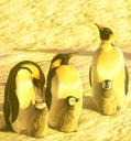 Nombre del archivo=PINGUINO281.jpg
Tamaño del archivo=397Kb
Dimensiones=1099x1179
Fecha añadida=13 de Octubre de 11 PINGUINO281.jpg