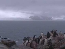 Nombre del archivo=PINGUINO298.jpg
Tamaño del archivo=5Kb
Dimensiones=320x240
Fecha añadida=13 de Octubre de 11 PINGUINO298.jpg