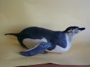 Nombre del archivo=PINGUINOBARBIJO16.jpg
Tamaño del archivo=39Kb
Dimensiones=640x480
Fecha añadida=13 de Octubre de 11 PINGUINOBARBIJO16.jpg