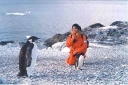 Nombre del archivo=PINGUINOEMPERADOR033.jpg
Tamaño del archivo=167Kb
Dimensiones=592x397
Fecha añadida=13 de Octubre de 11 PINGUINOEMPERADOR033.jpg