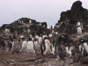 Nombre del archivo=PINGUINOPAPUA02.jpg
Tamaño del archivo=66Kb
Dimensiones=640x480
Fecha añadida=13 de Octubre de 11 PINGUINOPAPUA02.jpg