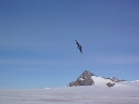 Nombre del archivo=SKUA13.jpg
Tamaño del archivo=62Kb
Dimensiones=640x480
Fecha añadida=13 de Octubre de 11 SKUA13.jpg